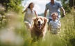 a dog running through a field with people and flowers